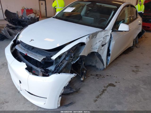 Tesla Model Y for Sale