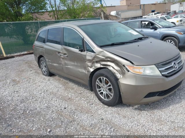  Salvage Honda Odyssey