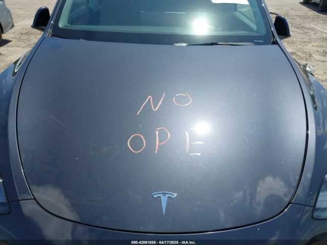Tesla Model Y for Sale