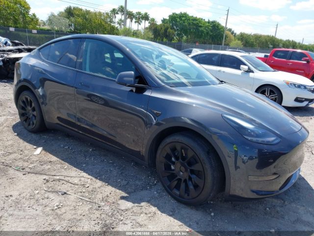 Tesla Model Y for Sale