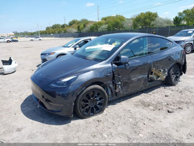 Tesla Model Y for Sale