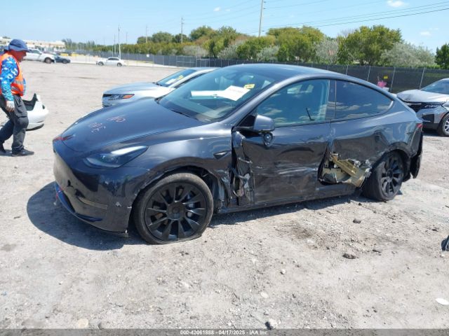 Tesla Model Y for Sale