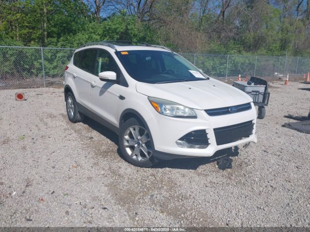  Salvage Ford Escape