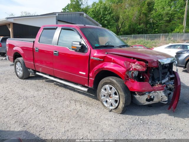 Salvage Ford F-150