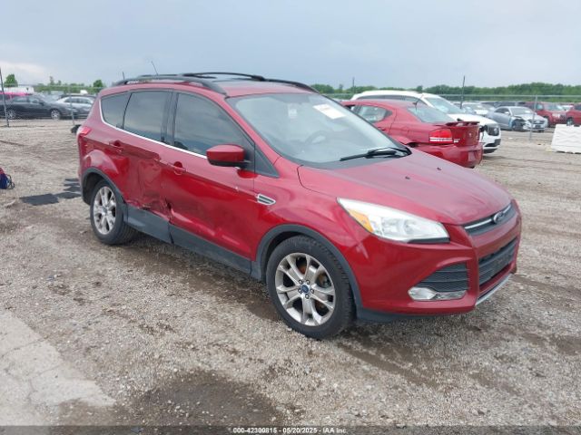  Salvage Ford Escape