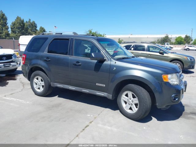  Salvage Ford Escape