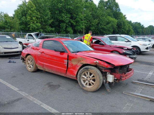  Salvage Ford Mustang