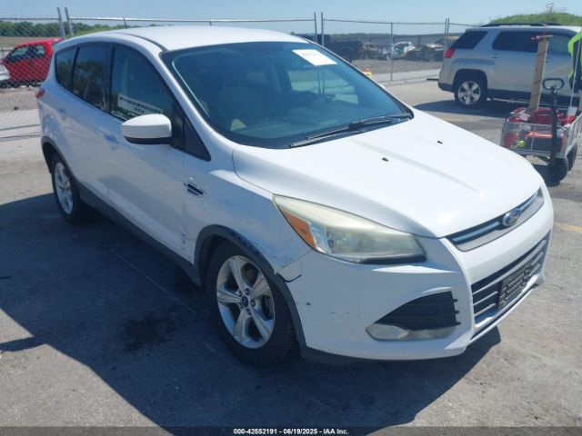  Salvage Ford Escape