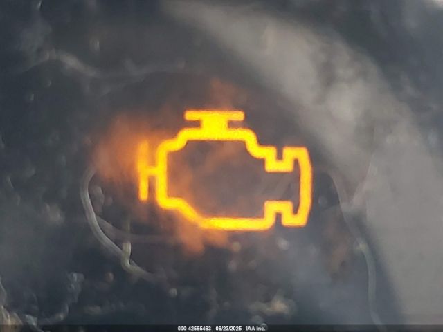 Thumbnail 4 (blur)