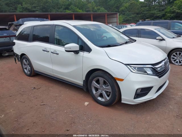  Salvage Honda Odyssey