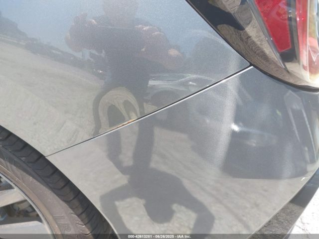 Thumbnail 14 (blur)
