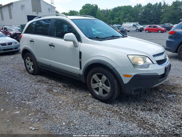 Can You Buy Repo Cars: Unlock Bargain Opportunities