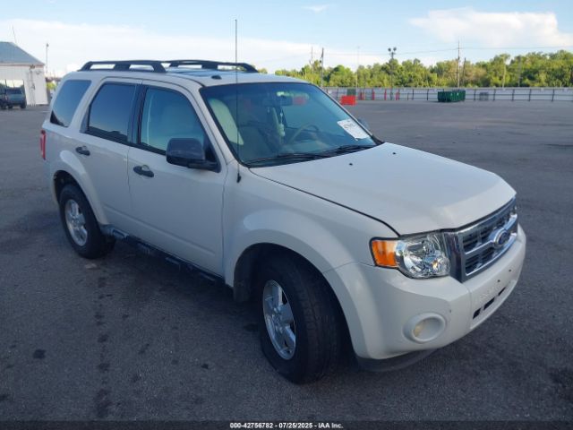  Salvage Ford Escape