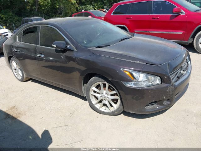 Salvage Nissan Maxima