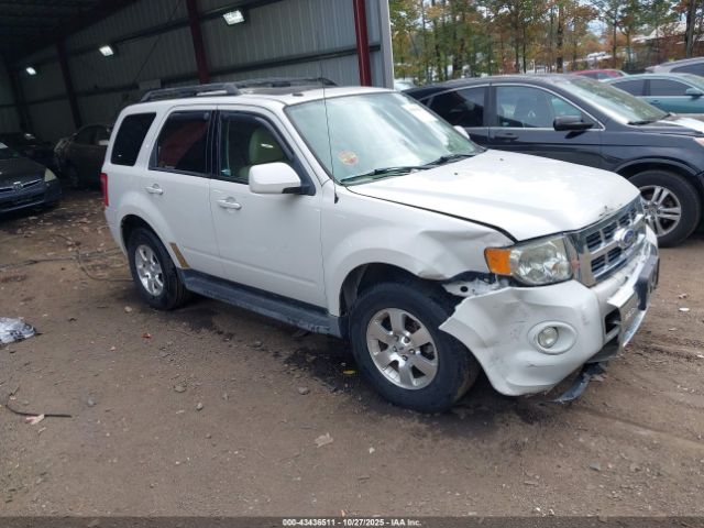  Salvage Ford Escape