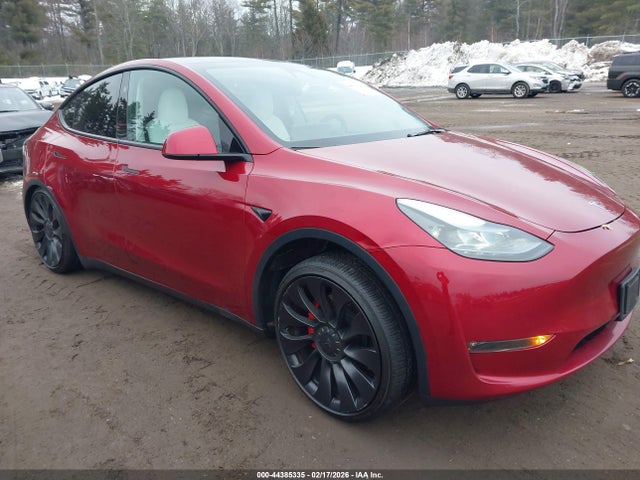 TESLA MODEL Y