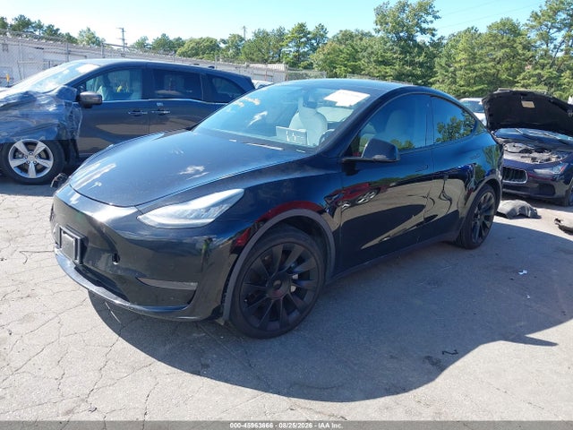 2020 Tesla Model Y for Sale in Medford NY - SCA