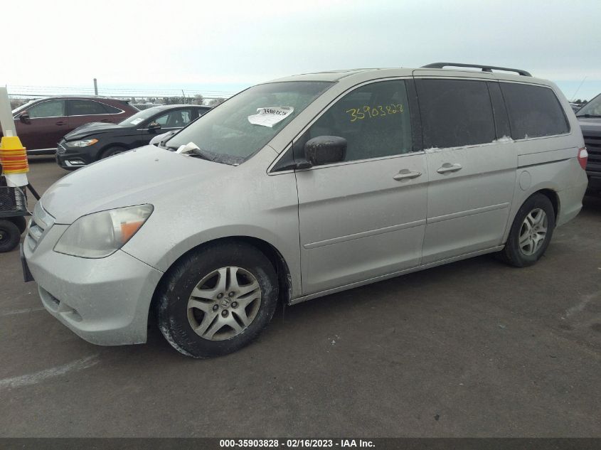 Honda Odyssey 2006г.