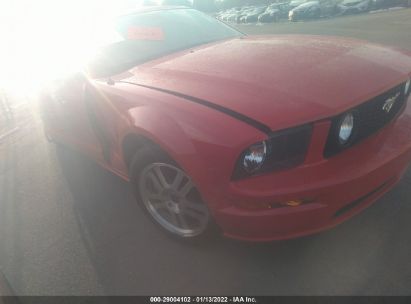 Salvage 2005 FORD MUSTANG - Small image. Stock# 29004102