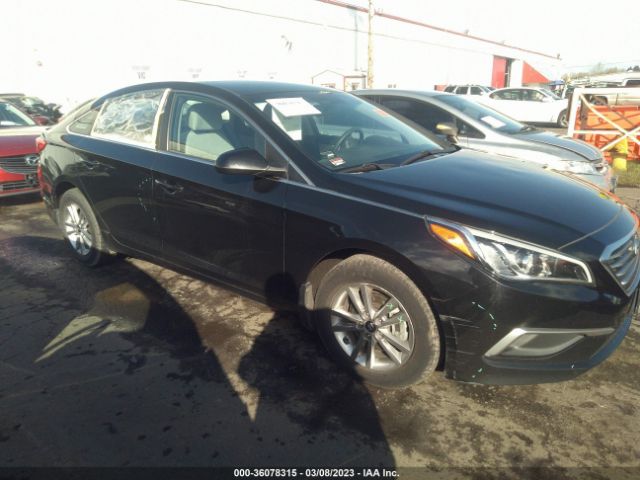 Global Auto Auctions: 2016 HYUNDAI SONATA