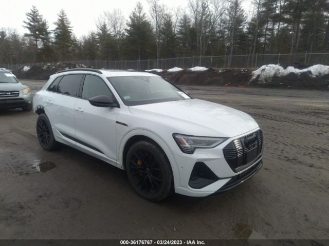 Global Auto Auctions: 2023 AUDI E-TRON