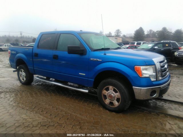 Global Auto Auctions: 2011 FORD F-150