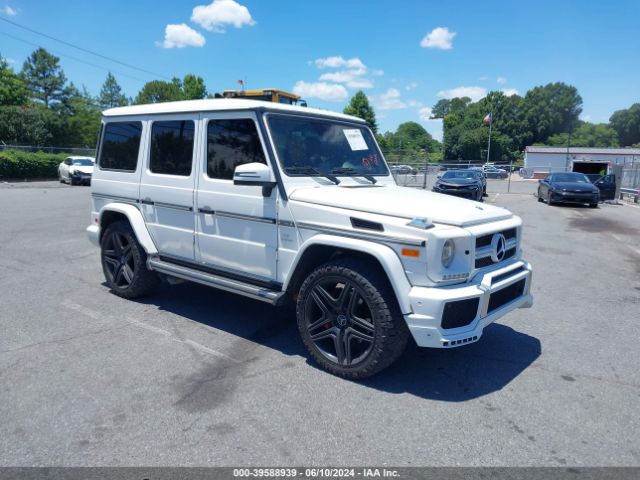 Global Auto Auctions: 2017 MERCEDES-BENZ G-CLASS