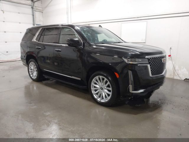 Global Auto Auctions: 2024 CADILLAC ESCALADE