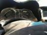 JN1BY1AR8CM****** Salvamento 2012 Infiniti M37x en Western Colorado