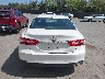 4T1B11HK8KU****** Wrecked 2019 Toyota Camry