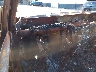 3C6UR5TL4LG****** Salvamento 2020 RAM 2500 en Sacramento