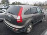 5J6RE3H73AL****** Salvage and Wrecked 2010 Honda CR-V in Virginia State