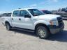 1FTFW1ET9DK****** Salvage and Wrecked 2013 Ford F-150 in Albuquerque
