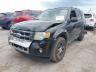 1FMCU9E76AK****** Used and Repairable 2010 Ford Escape in San Antonio South