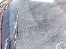 6G2ER57729L****** Wrecked 2009 Pontiac G8 in Missouri State
