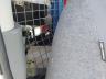 3N6CM0KN0KK****** Destrozados 2019 Nissan NV 200 en Charlotte