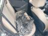KMHCT4AEXFU****** Destrozados 2015 Hyundai Accent en Tampa North