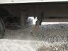 3ALHCYD25LD****** Repairable 2020 Freightliner M2 106 in Alabama State