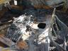 5NPDH4AE8FH****** Wrecked 2015 Hyundai Elantra in Santa Clarita