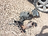 4T1BE30K45U****** Salvage 2005 Toyota Camry in Alabama State
