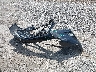 JTJBC1BAXD2****** Wrecked 2013 Lexus RX Hybrid in Florida State