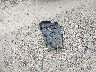 1FMCU0GX0EU****** Wrecked 2014 Ford Escape in Alabama State
