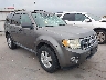 1FMCU9D78AK****** Salvage and Wrecked 2010 Ford Escape in TX - Dale