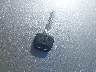 JTKDE177370****** Salvage 2007 Scion TC in Alabama State