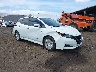 1N4AZ1CP8JC****** Salvage and Wrecked 2018 Nissan Leaf in Honolulu