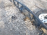 4YMBU1015KT****** Salvage and Repairable 2019 Carry-On Trailer Carry-On Trailer in Arkansas State