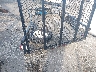 4YMBU1015KT****** Wrecked 2019 Carry-On Trailer Carry-On Trailer in Little Rock