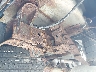 1N6AA0EC4AN****** Salvage and Wrecked 2010 Nissan Titan in Roanoke