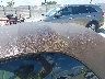 WBAUL7C50BV****** Salvage and Repairable 2011 BMW 1 Series in Alabama State