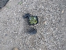 1C4BJWEG7GL****** Destrozados 2016 Jeep Wrangler en Estado de Indiana